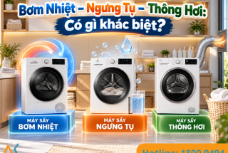 Máy Sấy Bơm Nhiệt, Ngưng Tụ Hay Thông Hơi? Đừng Mua Khi Chưa Biết 3 Điểm Khác Biệt Này